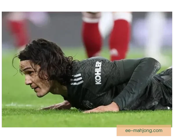 卡瓦尼免签加盟曼联助力球队锋线重建球迷热议新赛季展望